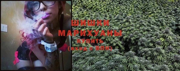 хмурый Мегион