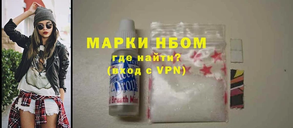 хмурый Мегион