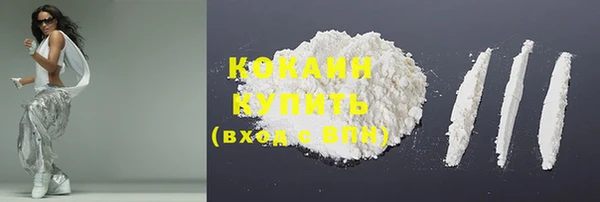 хмурый Мегион