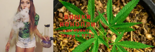 хмурый Мегион