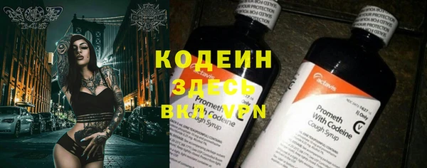 хмурый Мегион